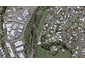 20A Gordon Street, Glen Avon, New Plymouth - Carousel 1