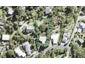 27 Barr Road, Mahurangi West, Warkworth - Carousel 1
