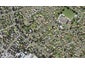 12 Hedley Road, Wesley, Auckland - Carousel 1
