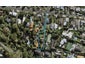 22 Aldred Road, Remuera, Auckland - Carousel 1