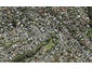 10 Mountbatten Avenue, Hillcrest, Auckland - Carousel 1