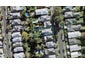 41 Kelmarna Avenue, Ponsonby, Auckland - Carousel 1