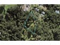 135A Upper Harbour Drive, Greenhithe, Auckland - Carousel 1