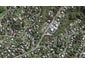 5 Beatty Parade, Surfdale, Waiheke Island - Carousel 1