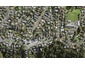 415 Hillsborough Road, Hillsborough, Auckland - Carousel 1