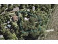 5 Janet Place, Laingholm, Auckland - Carousel 1