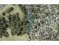 10 Tree Fern Trail, Campbells Bay, Auckland - Carousel 1