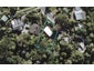 19 Arcadia Crescent, Bayview, Auckland - Carousel 1