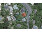 25 Mairangi Road, Wadestown, Wellington - Carousel 1
