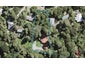 27 Western Road, Laingholm, Auckland - Carousel 1