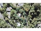 4 Tui Crescent, Waiatarua, Auckland - Carousel 1