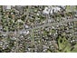 204 White Swan Road, Mount Roskill, Auckland - Carousel 1