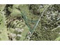 597 Mahurangi West Road, Mahurangi West, Warkworth - Carousel 1
