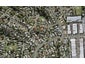 6B Julia Place, Totara Vale, Auckland - Carousel 1