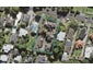 26A Peary Road, Mount Eden, Auckland - Carousel 1