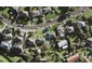 8 Kallu Crescent, Mount Roskill, Auckland - Carousel 1