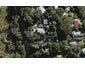 107 Wilma Road, Ostend, Waiheke Island - Carousel 1