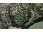 14 Wesley Bay Glade, Hillsborough, Auckland - Carousel 1