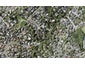 44 Colmar Road, Mellons Bay, Auckland - Carousel 1