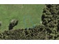 62 Te Aniwaniwa Terrace, Albany, Auckland - Carousel 1