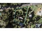 12 Totara Road, Whenuapai, Auckland - Carousel 1