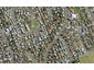 87 Templeton Place, Clendon Park, Auckland - Carousel 1