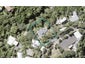 10 Ngaumatau Road, Point Howard, Lower Hutt - Carousel 1