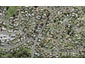 107C Moire Road, West Harbour, Auckland - Carousel 1