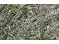 159 Seabrook Avenue, New Lynn, Auckland - Carousel 1