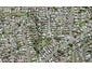 18 Springside Place, New Lynn, Auckland - Carousel 1