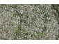 51 Woodglen Road, Glen Eden, Auckland - Carousel 1