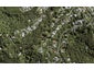 115 Takahe Road, Titirangi, Auckland - Carousel 1