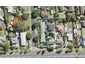 1/1 Redlands Grove, Swanson, Auckland - Carousel 1