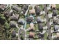 11 Waterbury Place, Mangere, Auckland - Carousel 1