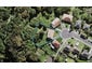 16 Savage Street, Westmere, Auckland - Carousel 1