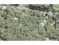 59 Glenesk Road, Piha, Piha - Carousel 1