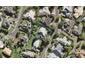 5 Excelsa Place, Albany, Auckland - Carousel 1