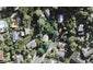 22 Barker Rise, Northcross, Auckland - Carousel 1