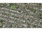 70 Peary Road, Mount Eden, Auckland - Carousel 1
