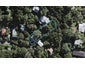 25 Omiha Road, Omiha, Waiheke Island - Carousel 1