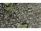 9/63B Owairaka Avenue, Mount Albert, Auckland - Carousel 1