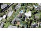 18 Aumoe Avenue, St Heliers, Auckland - Carousel 1