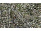122 New Windsor Road, New Windsor, Auckland - Carousel 1