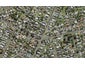 41B Shortt Avenue, Mangere Bridge, Auckland - Carousel 1