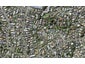 35 Geraldine Place, Kohimarama, Auckland - Carousel 1