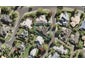 3 Excelsa Place, Albany, Auckland - Carousel 1