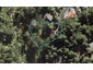 38 Inglis Street, Birkenhead, Auckland - Carousel 1