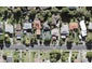 26B Sheridan Drive, New Lynn, Auckland - Carousel 1