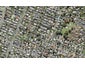59A Miro Street, New Lynn, Auckland - Carousel 1
