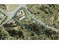 126 Wade River Road, Stanmore Bay, Whangaparaoa - Carousel 1